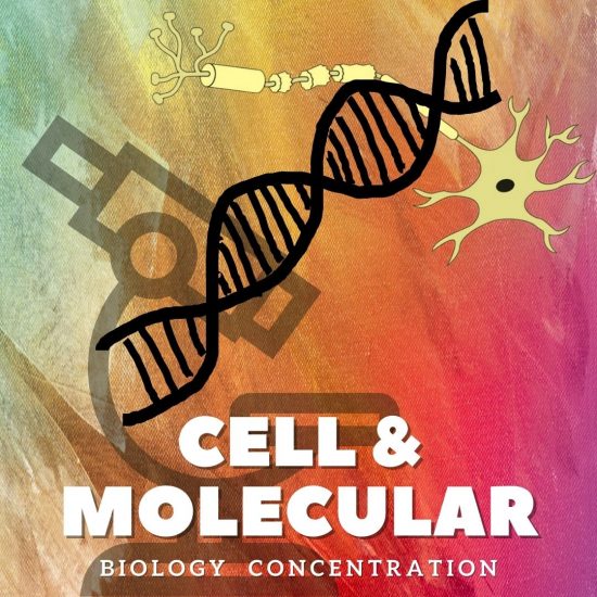 CELLS: Cell and Molecular Biology
