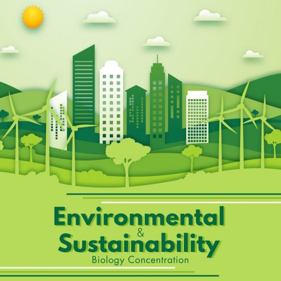 Sustainability and Environmental.