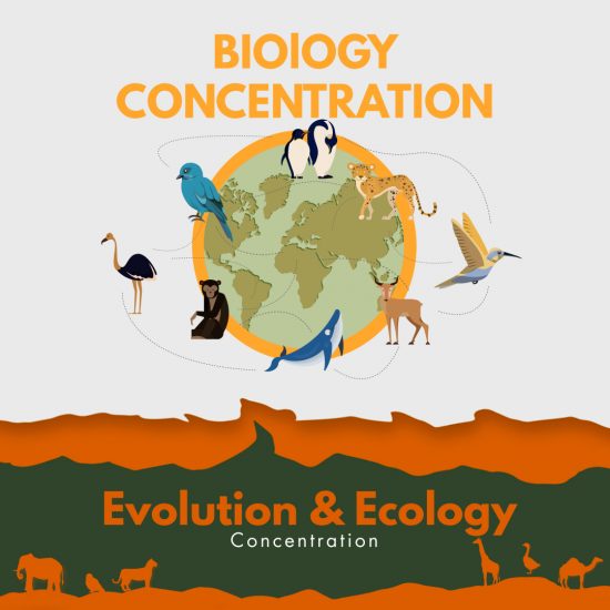  BIODIVERSITY: Evolution and Ecology