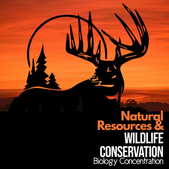 CONSERVATION: Natural Resources and Wildlife