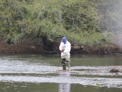 Person fishing in stream holding a fishing pole and net
